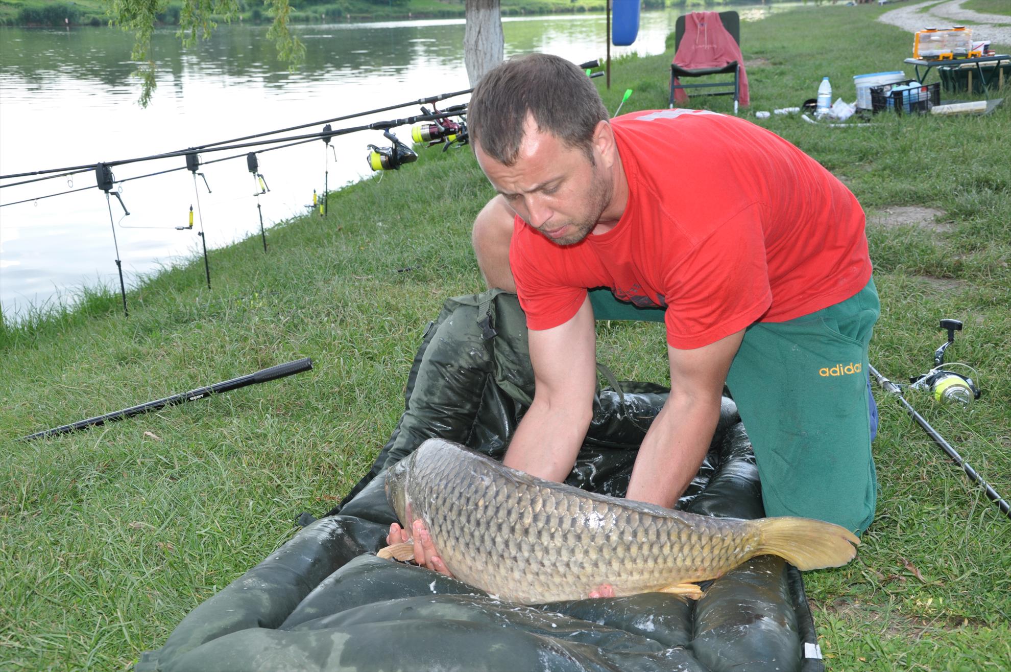 MV 2/3- 09/06/2013 - dsc0046.JPG